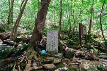 와룡자연휴양림 여행 추천 - 메고지고