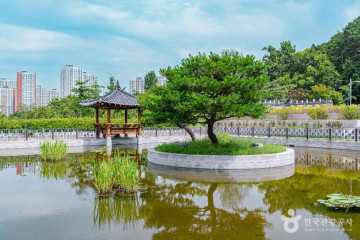배꽃근린공원 여행 추천 - 메고지고