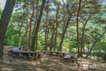 진영인 테마거리 여행 추천 - 메고지고
