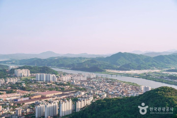 꿀벌나라테마공원 여행 추천 - 메고지고
