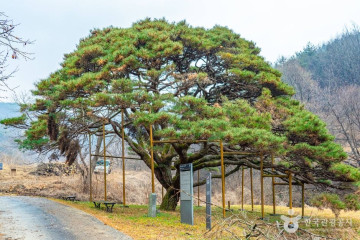 경천호 여행 추천 - 메고지고