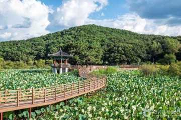 봉곡테마공원 여행 추천 - 메고지고