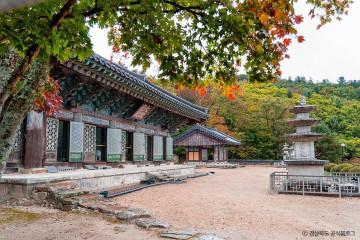 국립김천치유의숲 여행 추천 - 메고지고
