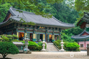 [서울둘레길 11코스] 관악산코스 여행 추천 - 메고지고