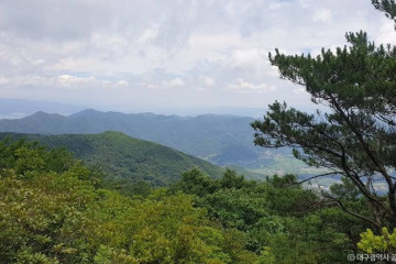 운흥사(대구) 여행 추천 - 메고지고