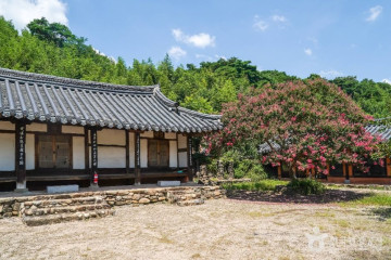 고령 신촌숲 여행 추천 - 메고지고