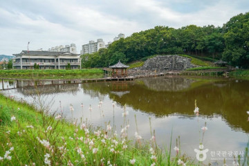 대구 구암동 고분군 여행 추천 - 메고지고