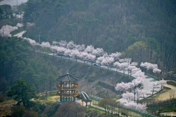 요산공원 여행 추천 - 메고지고