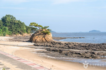 서천 성북리 오층석탑 여행 추천 - 메고지고