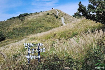 황매산미리내파크오토캠핑장 여행 추천 - 메고지고