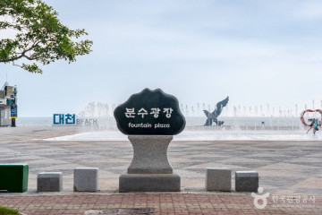 머드광장 여행 추천 - 메고지고
