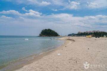 양양 솔바다 캠핑장 여행 추천 - 메고지고