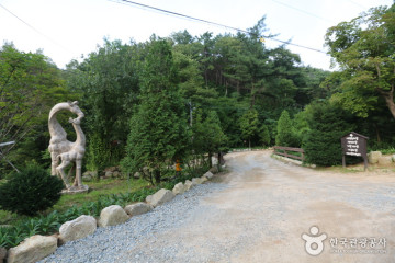 홀로세 생태학교 여행 추천 - 메고지고
