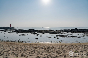 안인항 여행 추천 - 메고지고