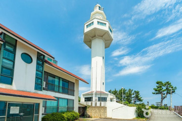 [DMZ 평화의 길] 통일전망대 코스 여행 추천 - 메고지고
