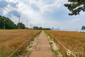 사근진해중공원 전망대 여행 추천 - 메고지고