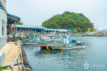 [해파랑길] 48코스 여행 추천 - 메고지고