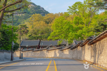 청와대 사랑채 여행 추천 - 메고지고