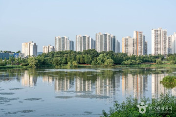 대동법시행기념비 여행 추천 - 메고지고