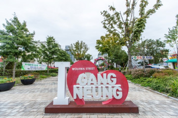 고래책방 여행 추천 - 메고지고