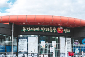 문경 오미자테마공원 여행 추천 - 메고지고