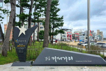 솔향강릉오토캠핑장 여행 추천 - 메고지고
