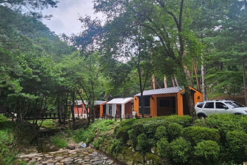 영양 자작나무숲 여행 추천 - 메고지고
