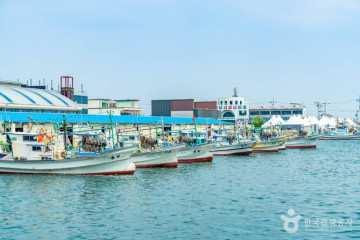 거진1리해변 여행 추천 - 메고지고