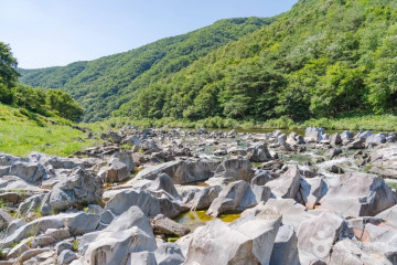 신성리 공룡발자국 여행 추천 - 메고지고