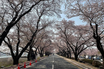 경주 김유신묘 여행 추천 - 메고지고