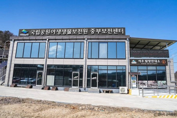 영주 순흥 어숙묘 여행 추천 - 메고지고