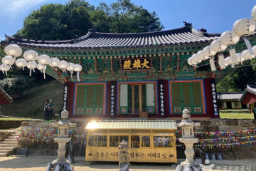 강원특별자치도자연학습원 여행 추천 - 메고지고