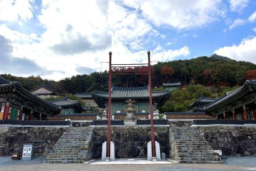가야산 야생화식물원 여행 추천 - 메고지고