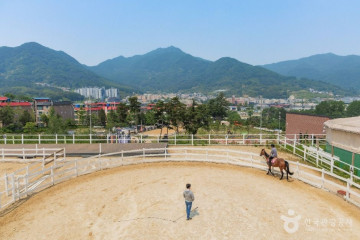 쿼크밸리 캠프 여행 추천 - 메고지고
