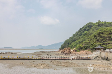어류정항 여행 추천 - 메고지고