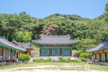 김천 녹색미래과학관 여행 추천 - 메고지고