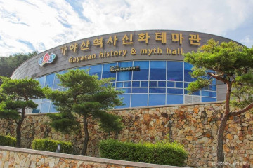 가야산 야생화식물원 여행 추천 - 메고지고