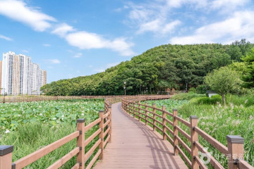 문성지 여행 추천 - 메고지고