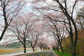 보령호 여행 추천 - 메고지고