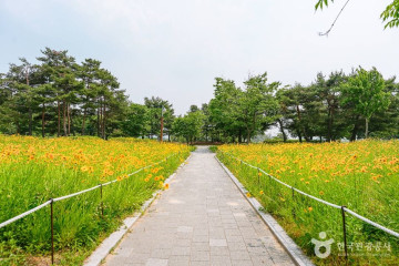 국립농업박물관 여행 추천 - 메고지고