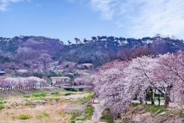 광천생활체육공원 여행 추천 - 메고지고