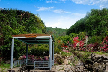 약수골 캠프촌 여행 추천 - 메고지고