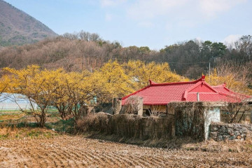 개군레포츠공원 여행 추천 - 메고지고
