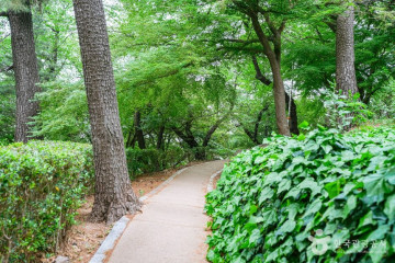 장무공원 여행 추천 - 메고지고