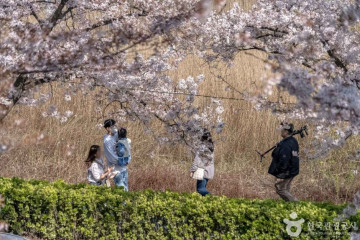 라카이 샌드파인 수영장 여행 추천 - 메고지고