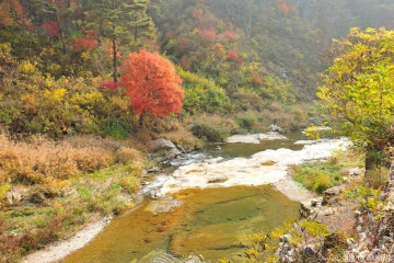 광대곡 여행 추천 - 메고지고