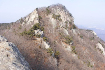상주 감꽃마을 서울시캠핑장 여행 추천 - 메고지고