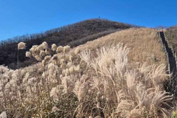 덕산계곡 여행 추천 - 메고지고