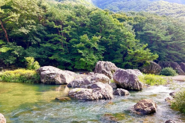 와룡암 여행 추천 - 메고지고