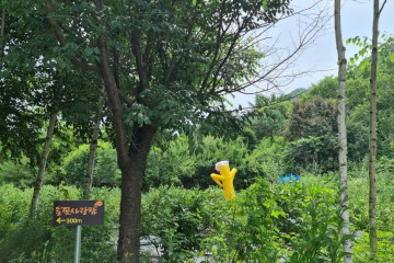 인제 아리캠핑장 여행 추천 - 메고지고